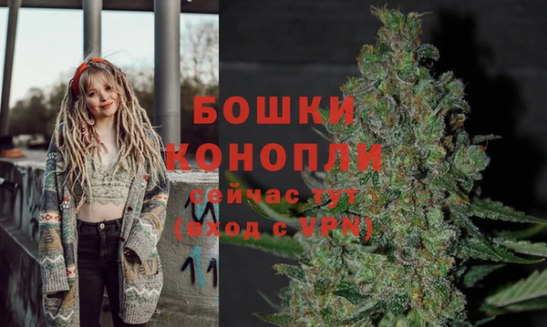 бошки Пестово