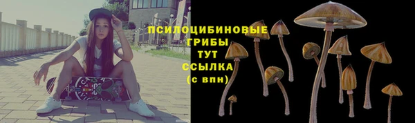 крисы Пересвет