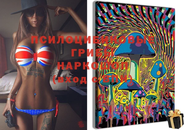 крисы Пересвет