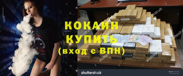 крисы Пересвет