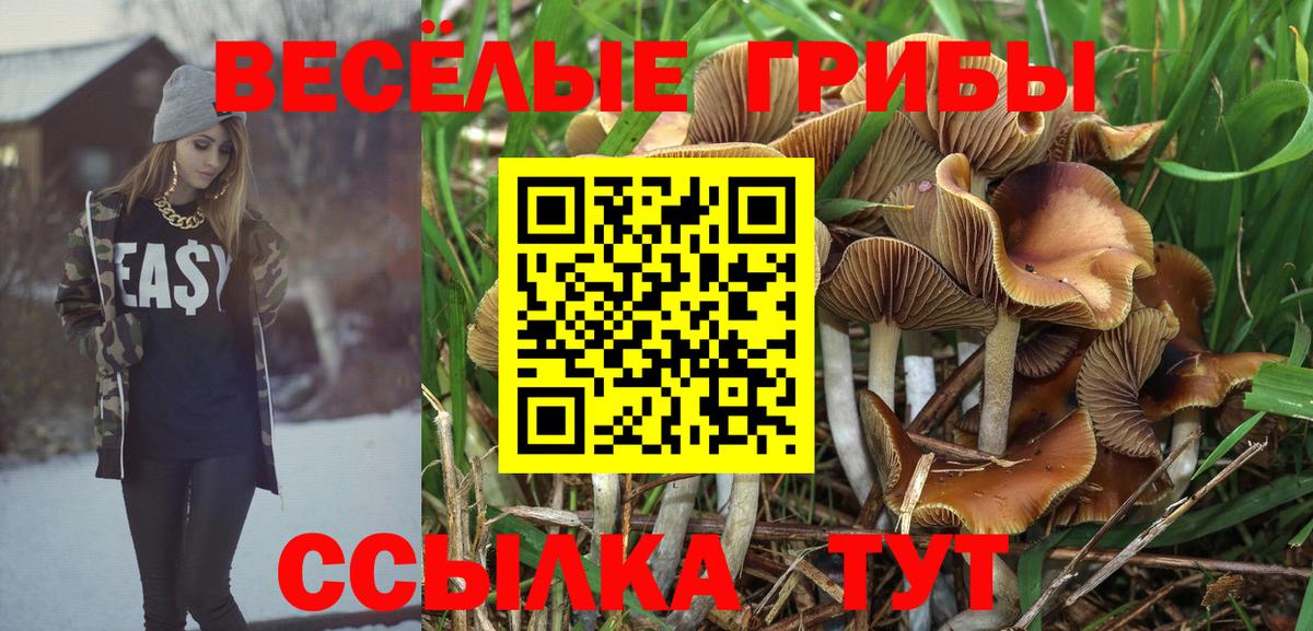 Псилоцибиновые грибы GOLDEN TEACHER  Белогорск 