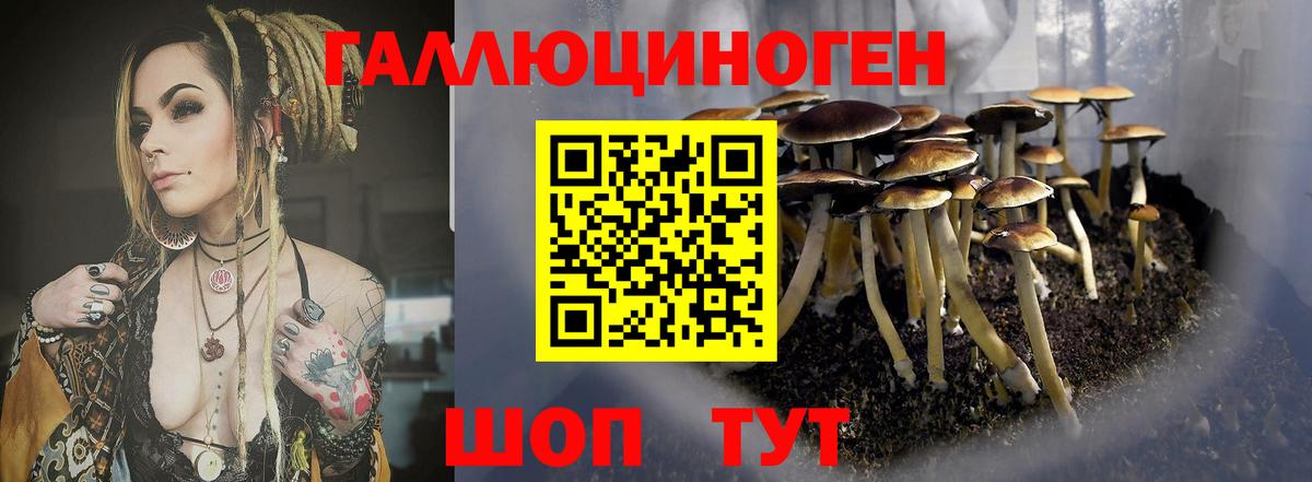 Белогорск  Псилоцибиновые грибы мухоморы  Вход с VPN 